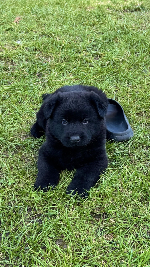 57B28B2A-3830-49AB-9D38-F0C2E5511243