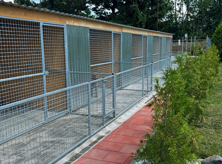 Psí hotel Packa Roudnice nad Labem