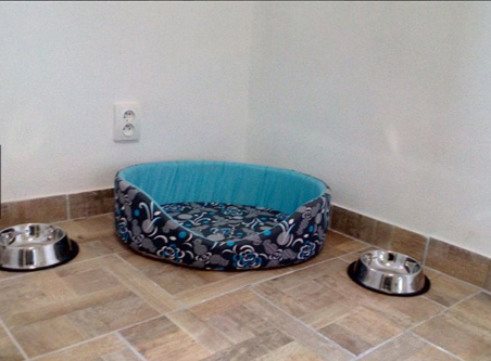 Psí hotel Packa Roudnice nad Labem